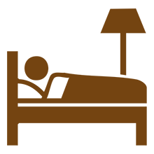 the ritz icon